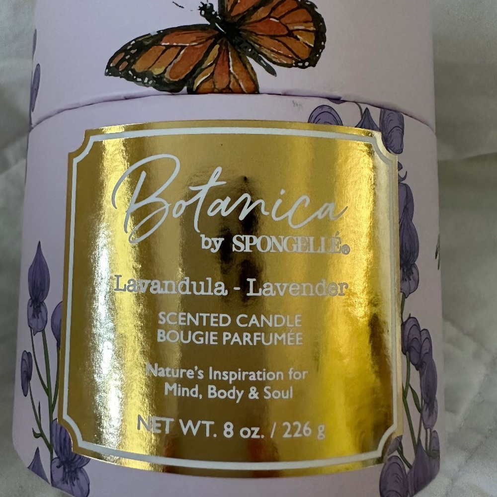 Spongellé Candle Lavender